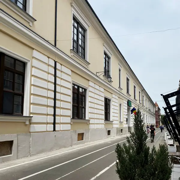 Proiect: Tâmplărie Lemn. Spitalul Militar „Dr. Victor Popescu”, Timișoara